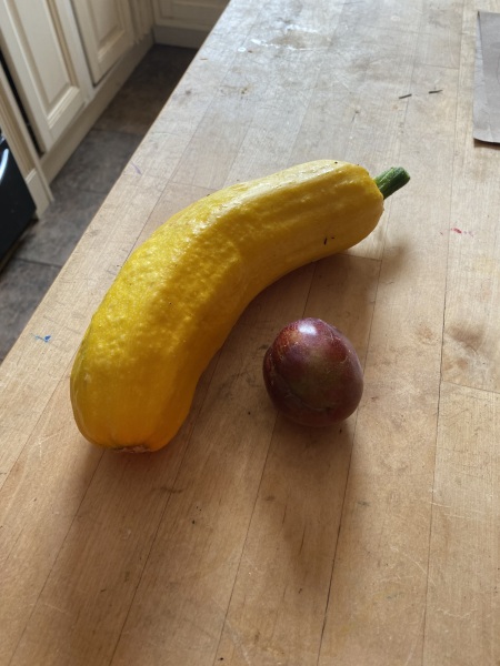 The Vegetable Patch 2024/2025