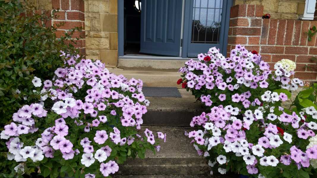 Thread 5 Starmer: keeping on keeping on