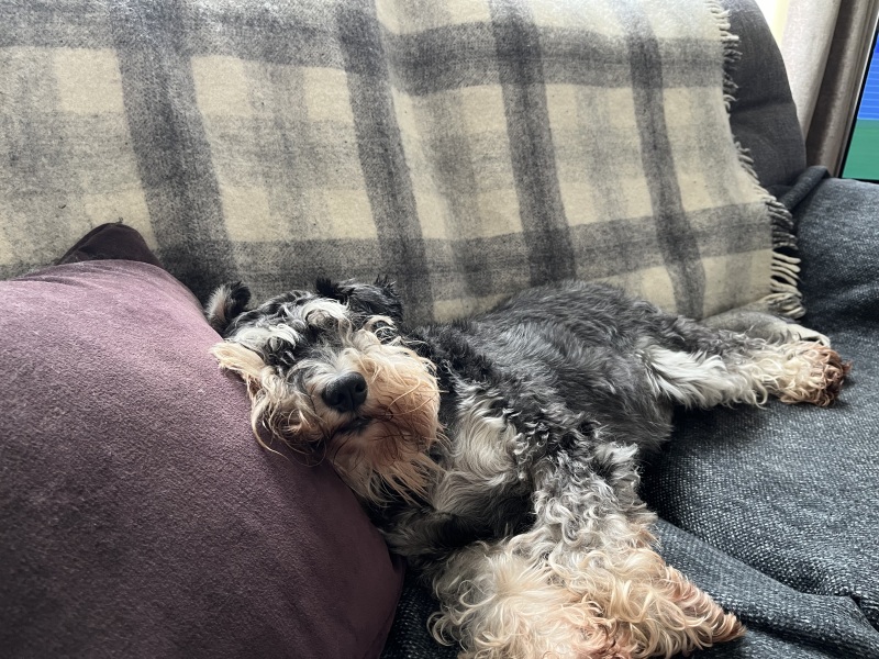 Thread 5 Starmer: keeping on keeping on