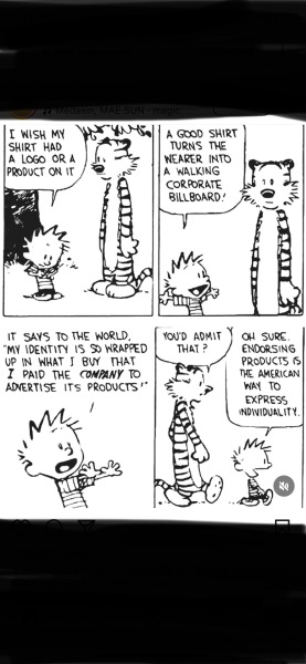 To wonder why parents dress their children in designer gear