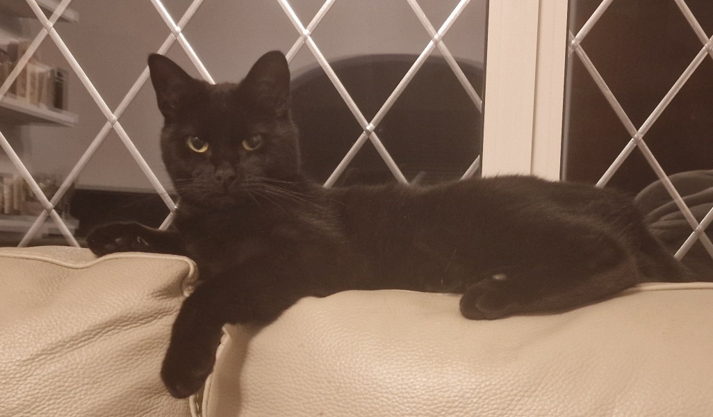 Thread 5 Starmer: keeping on keeping on