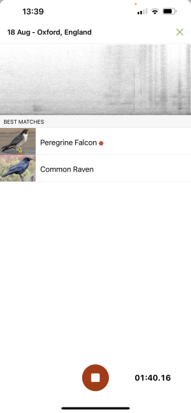 Thread 51 - Covid GCSE Cohort - Summer 24  - End of Uni Yr 2