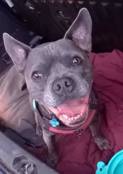 The support thread for anyone trying to lead an alcohol free life.