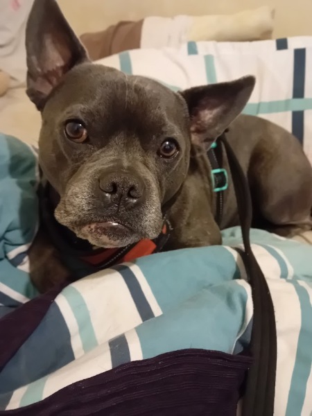 The support thread for anyone trying to lead an alcohol free life.