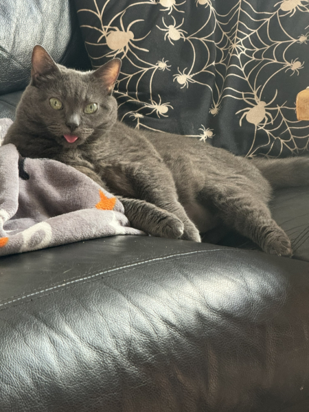 Thread 5 Starmer: keeping on keeping on