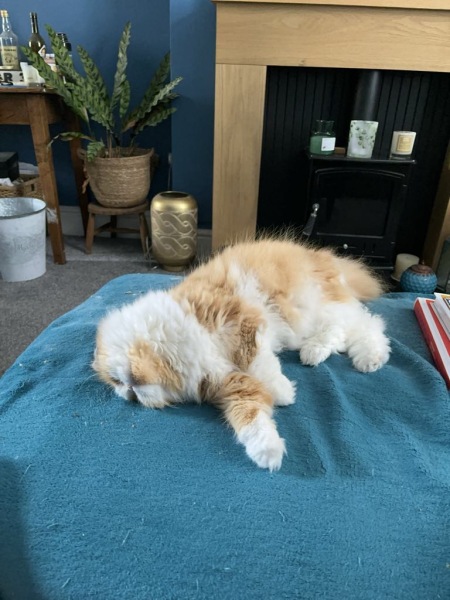 Thread 3 Starmer:  Digging has started, bigger shovel required