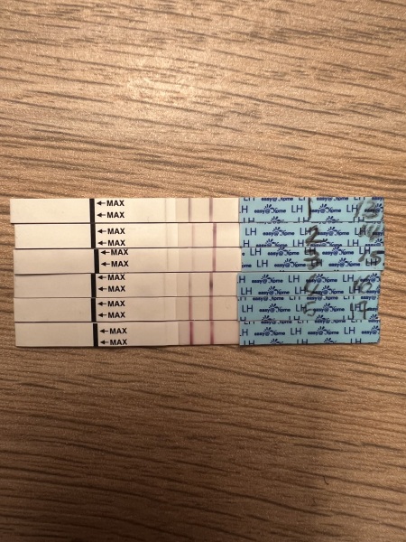 Anyone about to go into an ovulation week?