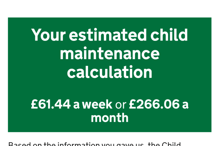 AIBU to be LIVID at my DSS mother