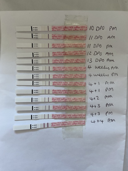 Anyone else 3DPO? Let’s do the TWW together!