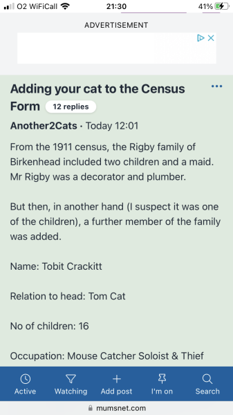 Passports, buckets and spades - the Excellent Cats go on their holidays