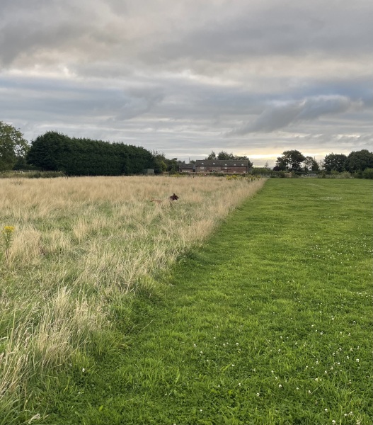 Spring has sprung...let's Countdown to Christmas 2024 (Thread 2)