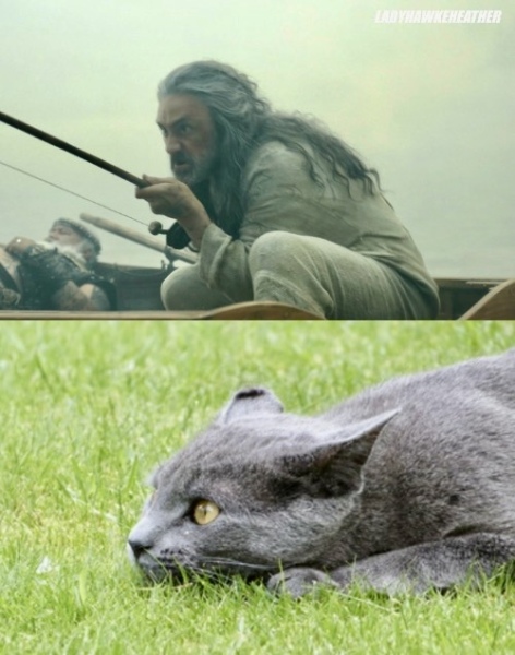 Our Flag Means Death - Thread 4: Roll up, roll up! Come join us for more pirate obsession!