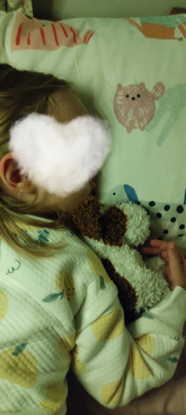 Lost stuffed dog on flight - help!