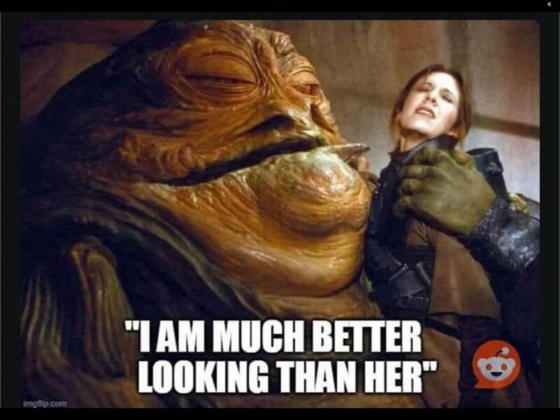 It's not over until the Cat Lady sings - Trump thread #133