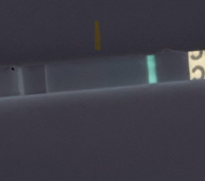 A line eye enthusiast #3