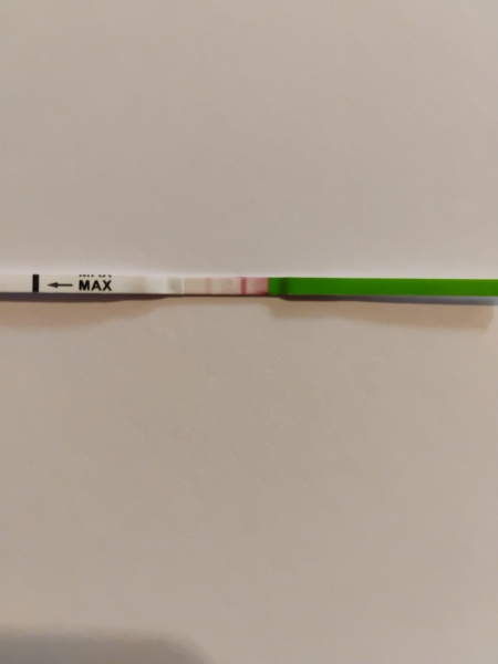 Ovulation