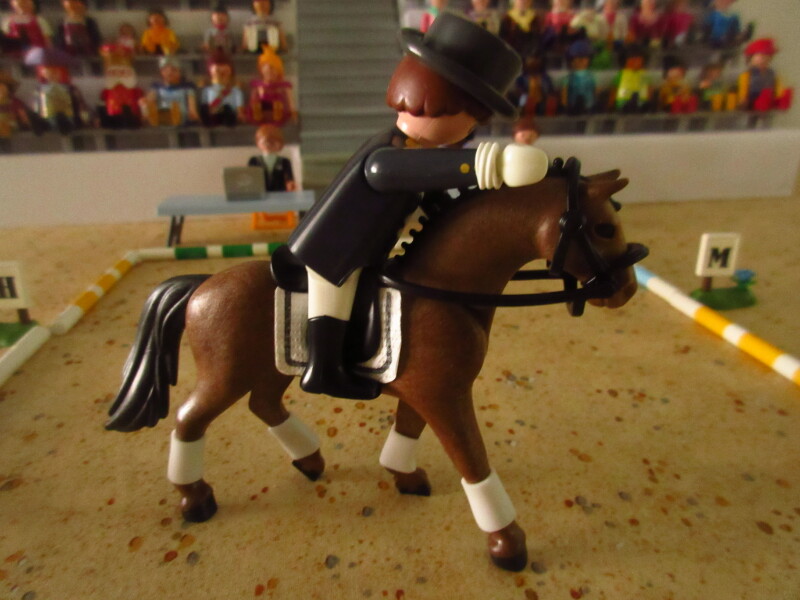 It's time for the Olympic Games for the Playmobil people in our house...