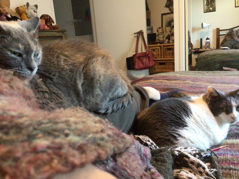 What's on your bed?