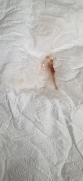 Please help, pic attached.