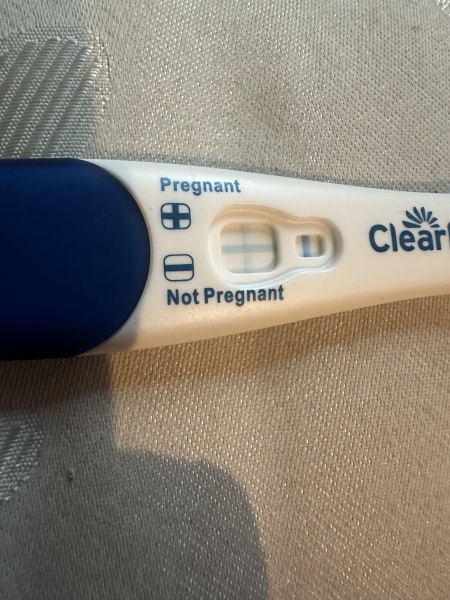 Do you see what I see?