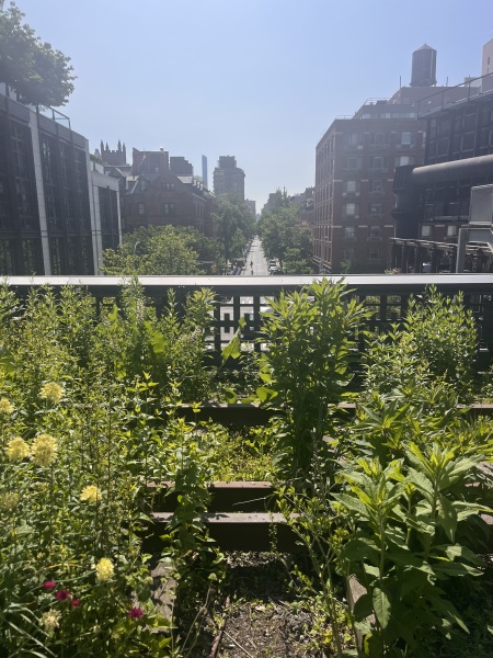 New York planning tips