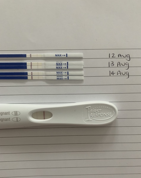 Your experience of eBay ICs - Is this a chemical pregnancy?