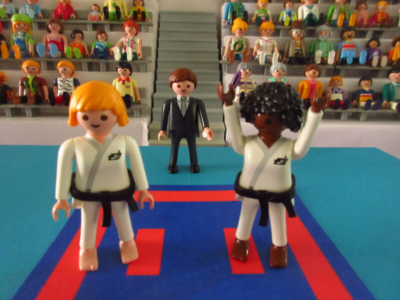 It's time for the Olympic Games for the Playmobil people in our house...