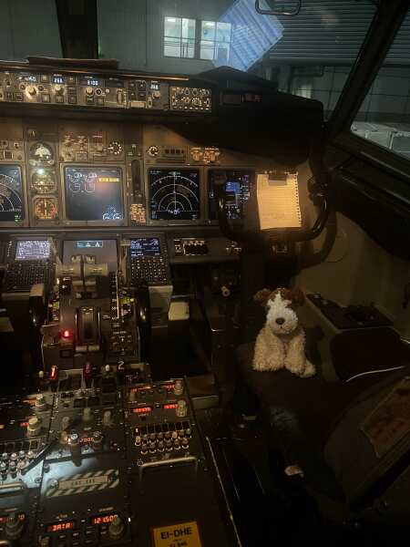 Lost stuffed dog on flight - help!