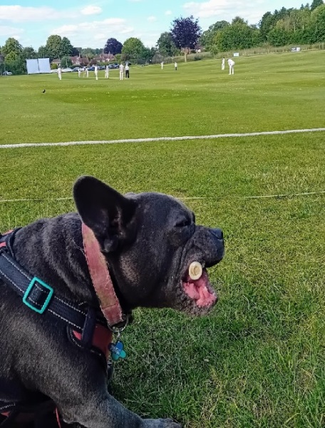 The Continuing Support Thread for Anyone Trying to Lead an Alcohol-Free Life Autumn 2024