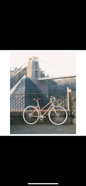 Can any cyclist identify what brand this bike is please?