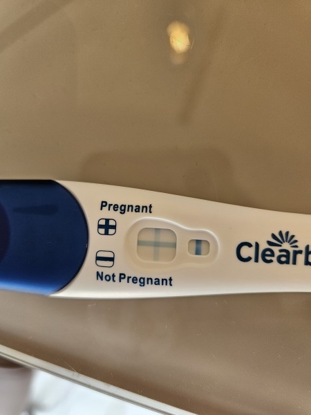 Pregnant after twin baby loss at birth and I'm terrified