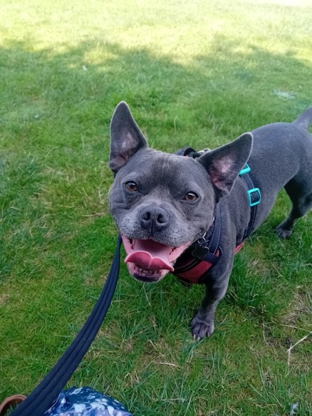 The support thread for anyone trying to lead an alcohol free life.