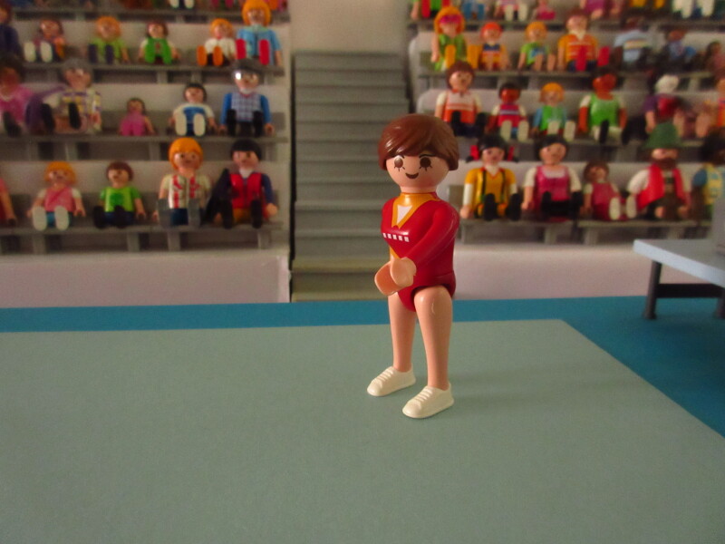 It's time for the Olympic Games for the Playmobil people in our house...