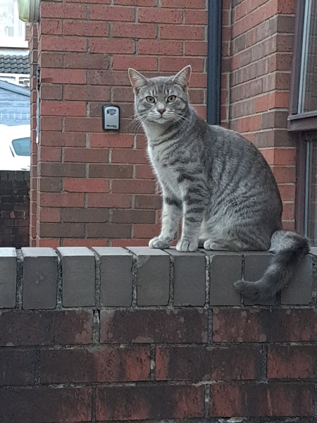 Thread 6 Starmer: We're going to need a bigger skip!