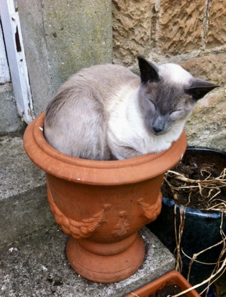 Thread 5 Starmer: keeping on keeping on