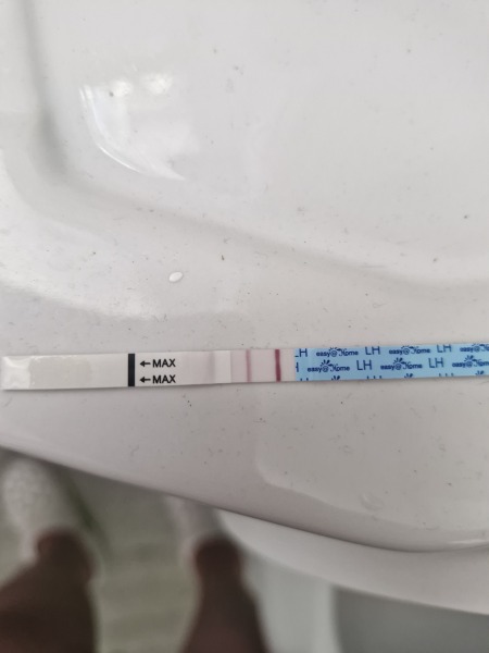 Two lines on an ovulation test? Could it indicate Pregnancy