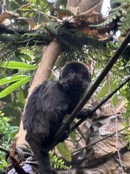 Come and tell me your dull and unexciting news 30: Calmly through the day