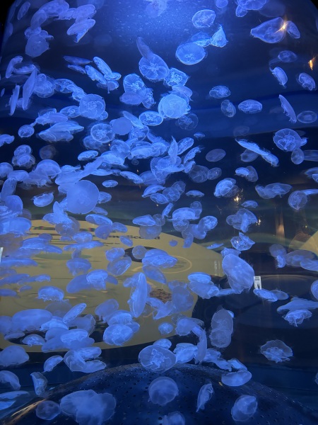 Come and tell me your dull and unexciting news 30: Calmly through the day