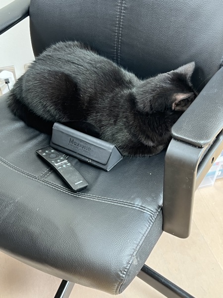 He has taken my spot!!