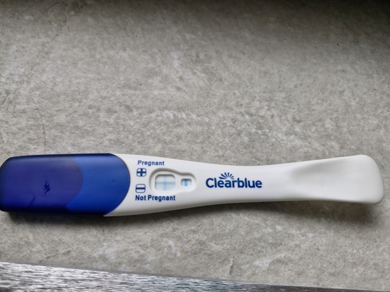 Due April 2025 ✨