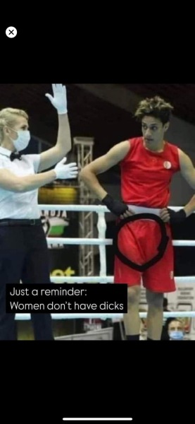 AIBU to point people to an article on the BBC website about the gender row on boxing at the Olympics?