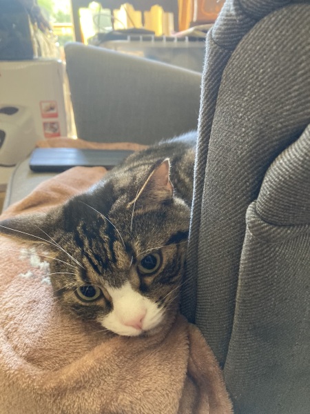 Thread 6 Starmer: We're going to need a bigger skip!