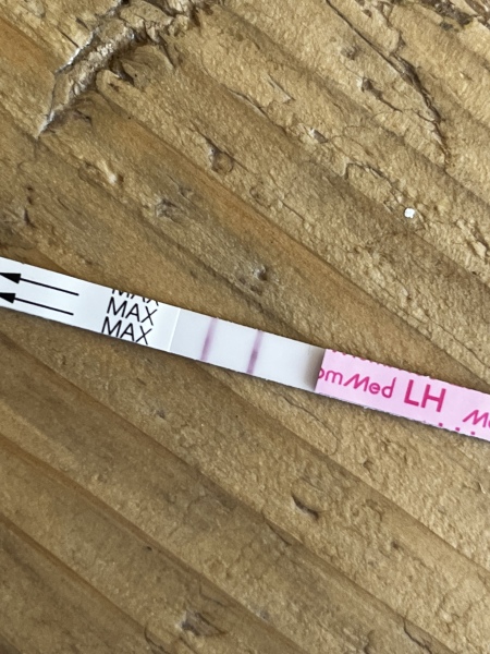 Is this a positive OPK?