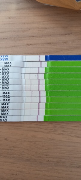 Ovulation tests are faint