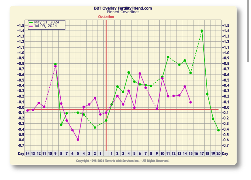 TTC after chemical pregnancy