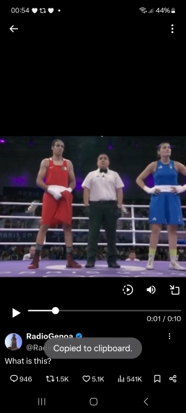 TWO “Female Boxers” Set To Compete At Paris 2024 Were Previously Disqualified From Women’s World Championship For Having “XY Chromosomes”