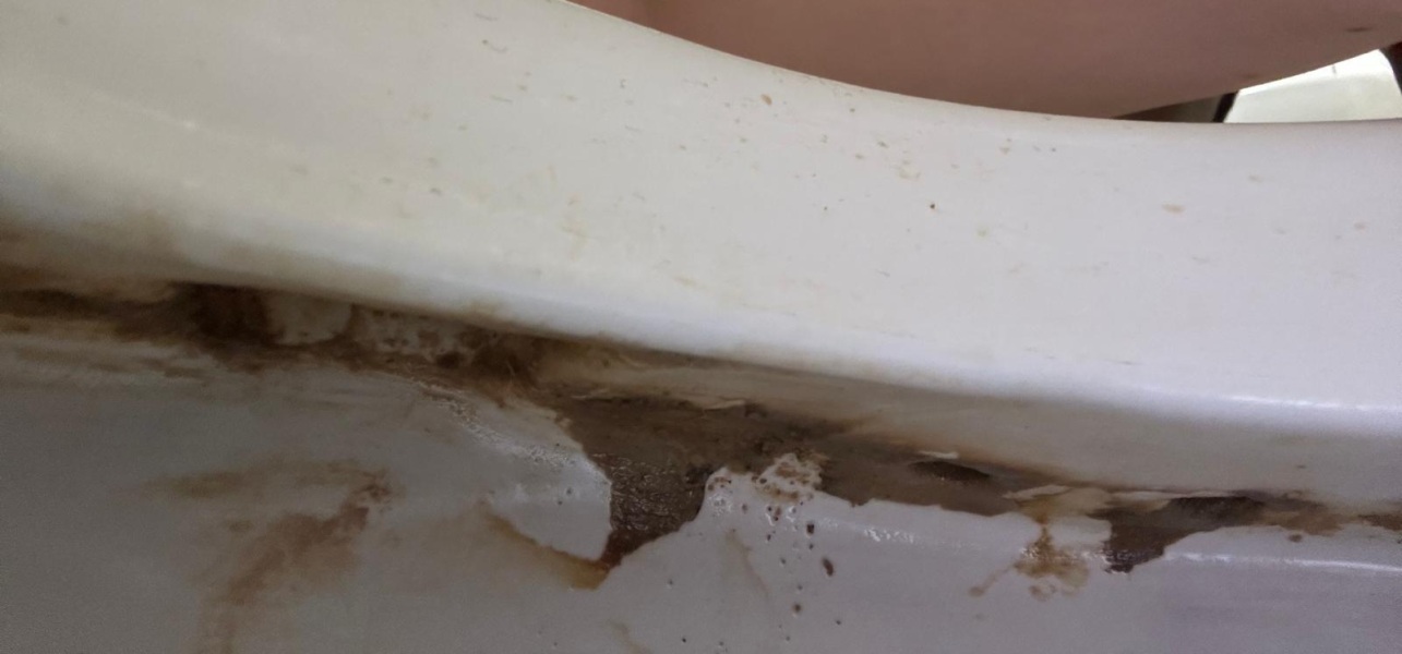 Any ideas what this is?