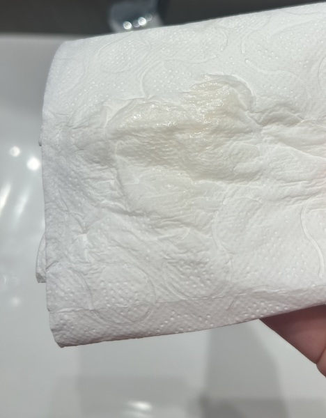 Easy at home lighter pregnancy lines