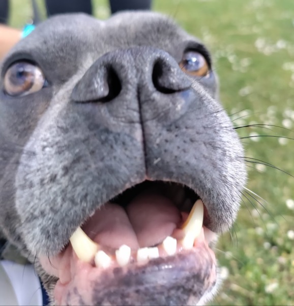 The support thread for anyone trying to lead an alcohol free life.