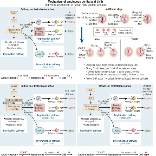 Save female sports evidence thread